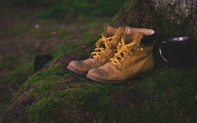 Senderismo y Gastronomía: Descubre los Placeres de la Comida tras una Caminata en León